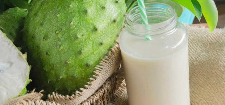 benefícios suco de graviola para saúde