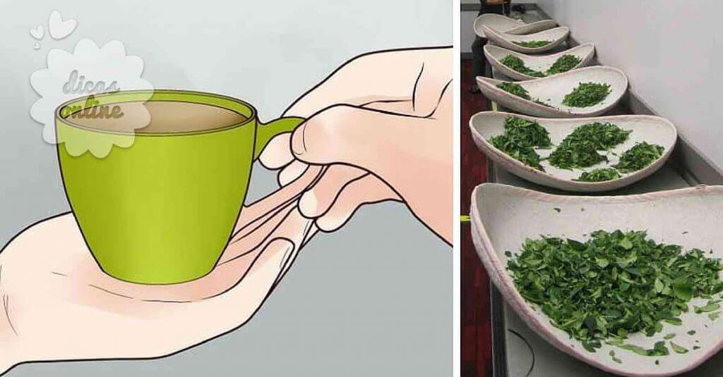 beneficios_cha_verde_dicas_online