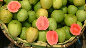 benefícios da goiaba para a saúde