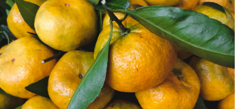 benefícios da tangerina