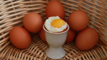 benefícios do ovo