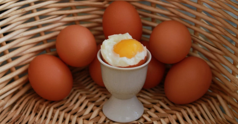 benefícios do ovo
