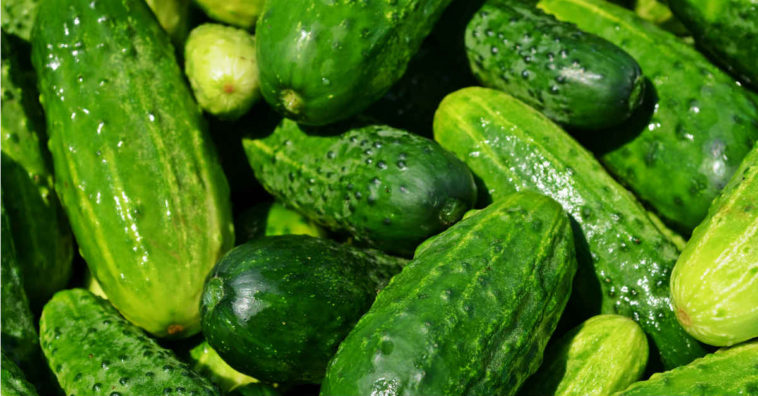 benefícios do pepino