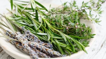 óleo de alecrim caseiro