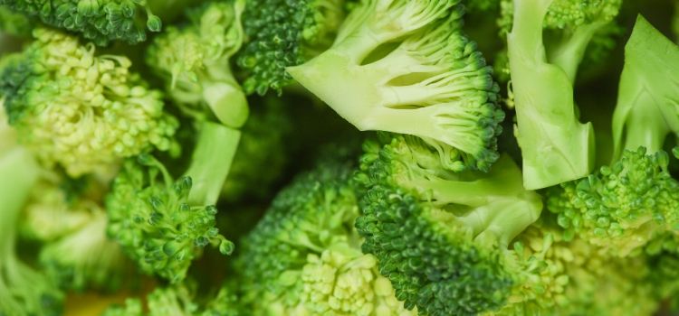 comer brócolis para imunidade