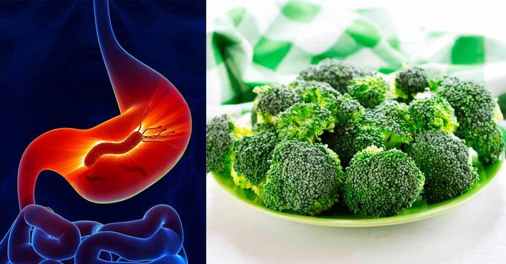 Brócolis o tratamento natural para H. Pylori