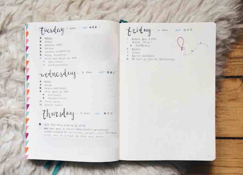 bullet-journal-modelo
