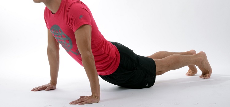 cão virado para cima