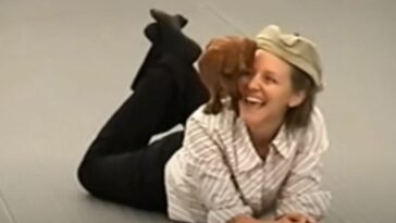 cachorrinho dançando