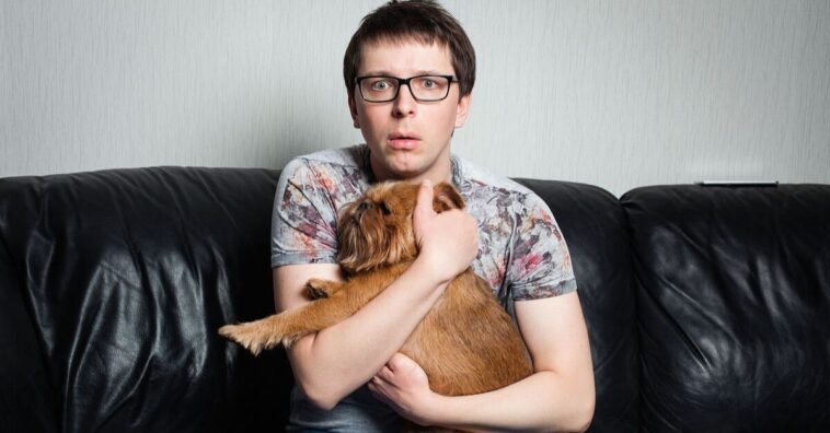 cachorro com medo de fogos