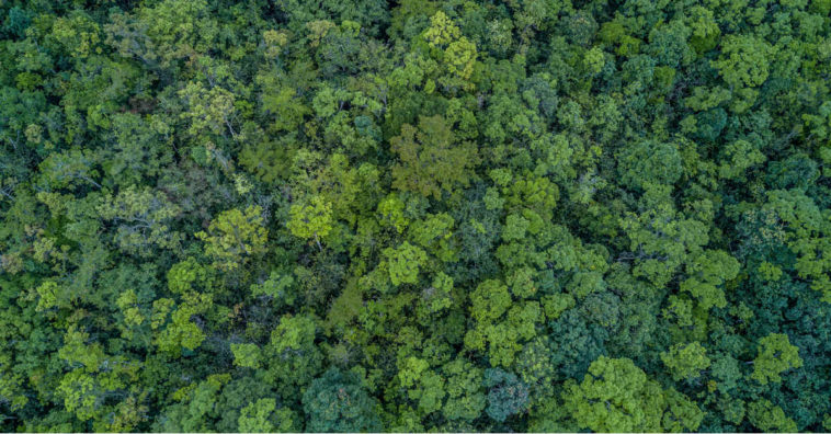 ultrapassa barreira de segurança e cai 20 metros