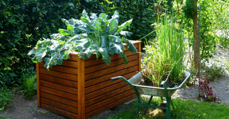 canteiro elevado vantagens