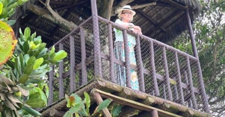 casa na árvore ana maria braga