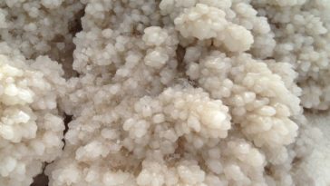 como consumir kefir corretamente