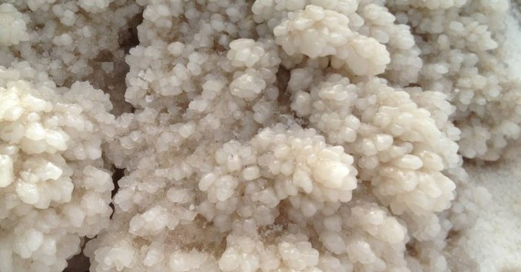 como consumir kefir corretamente