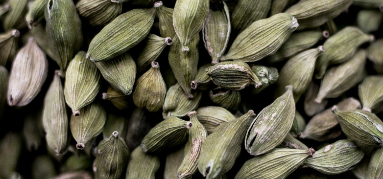 cardamomo benefícios para a saúde