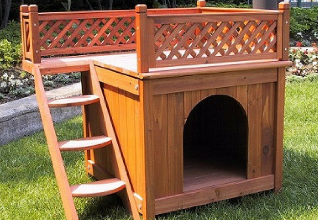 fazer casinha de cachorro com terraço