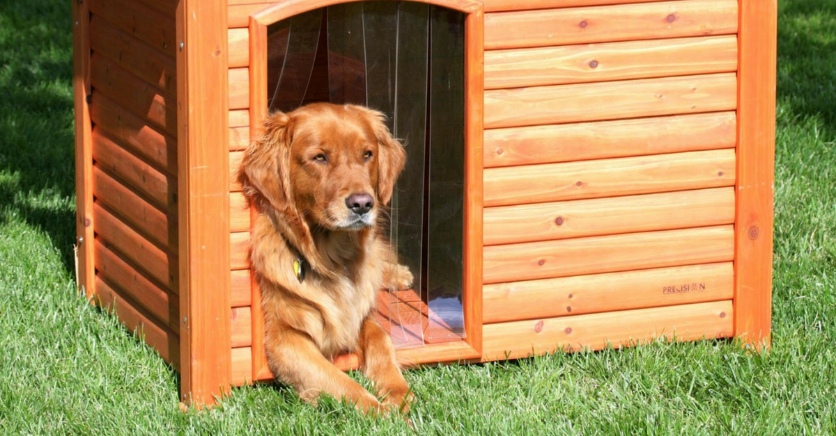 10 Ideias de como fazer casinha de cachorro