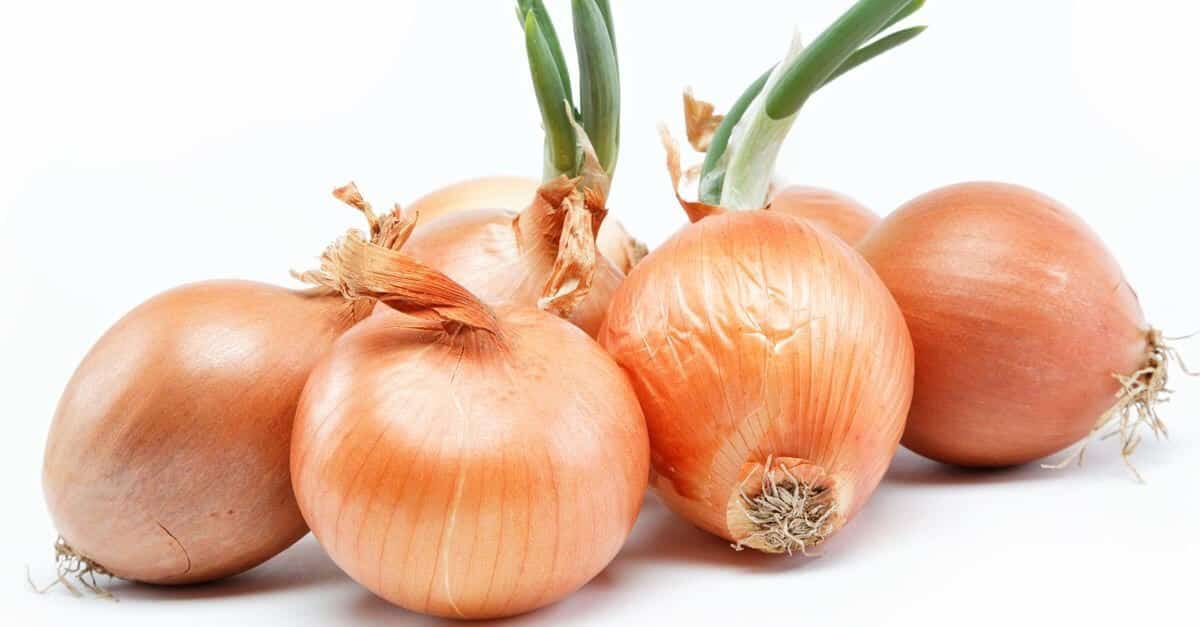 prevenir queda de cabelo com cebola