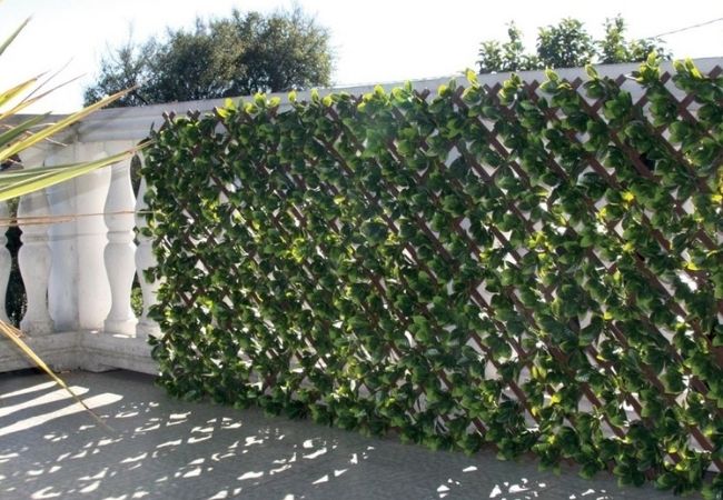 privacidade no seu terreno