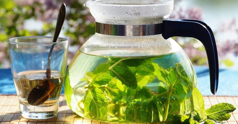 chá de hortelã