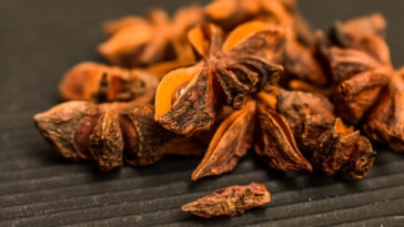 chá de anis estrelado