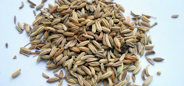propriedades do chá de erva-doce semente