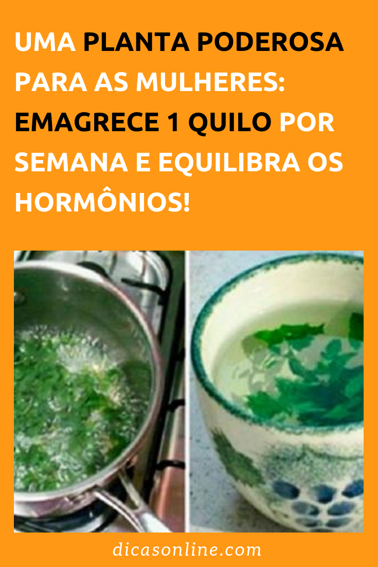 Chá de folha de amora