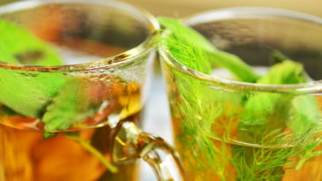 chá de funcho para a saúde