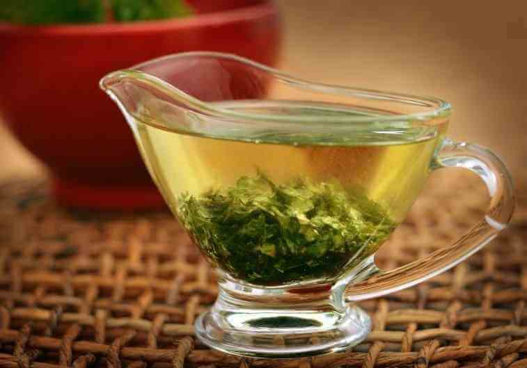 cha-salsa-emagrece-1