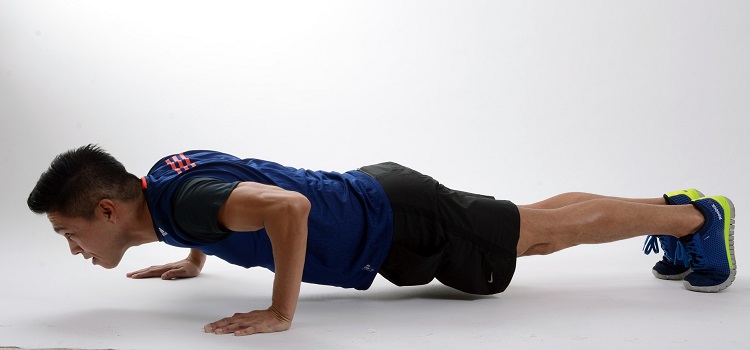 chaturanga