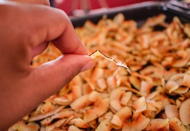 chips de coco com tempero salgado