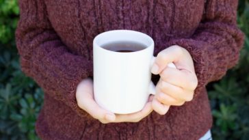 chá de bugre emagrece