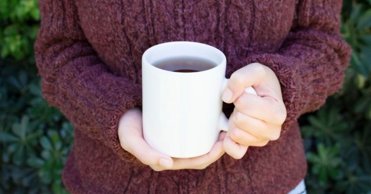 chá de bugre emagrece