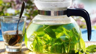 chá de hortelã