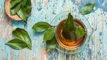 chá de louro emagrece