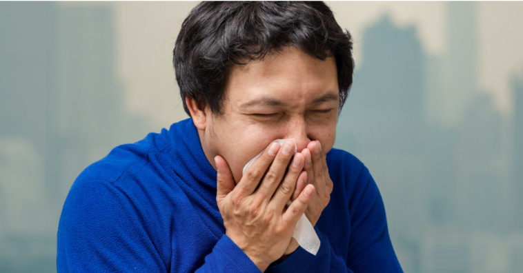 chás antialérgicos