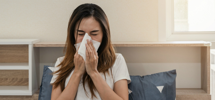 chás antialérgicos receitas