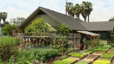 cidadão cultivam hortas em Les Avanchets