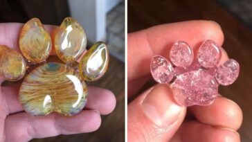 cinzas de animais em patinhas de vidro