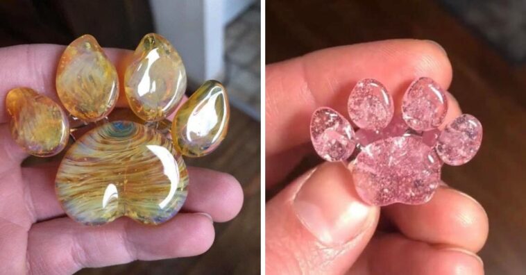 cinzas de animais em patinhas de vidro