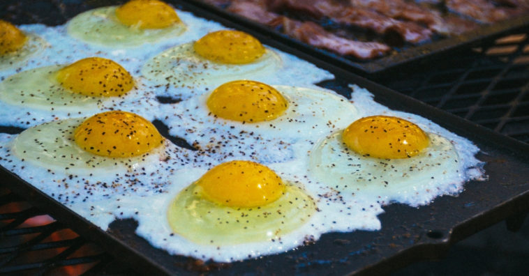 clara de ovo faz mal