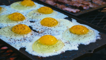 clara de ovo faz mal