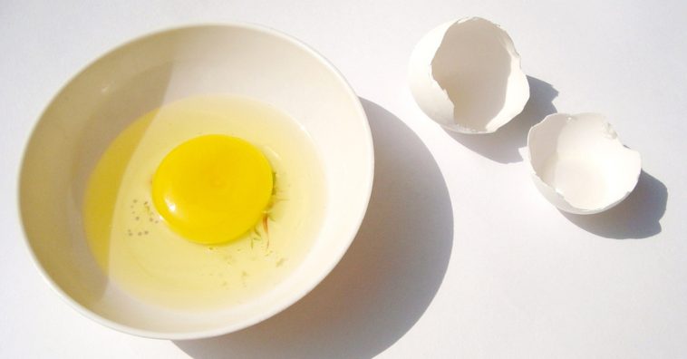 clara de ovo para rosto