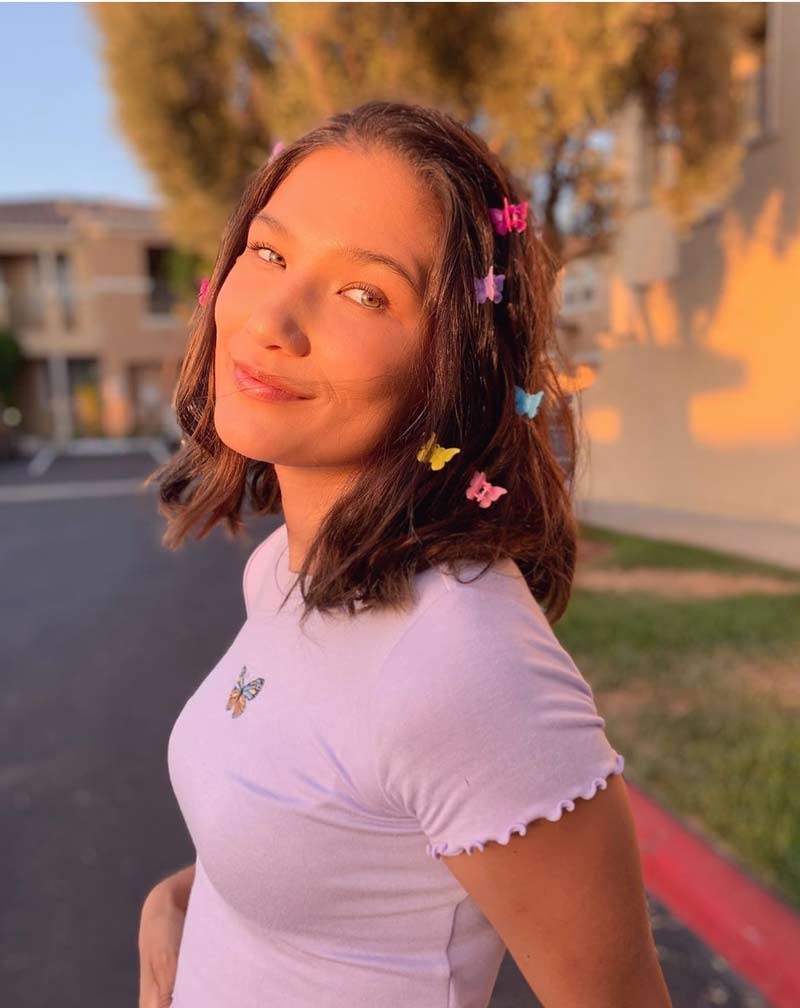 clipes de cabelo formato borboleta