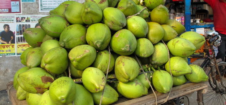 coco benefícios para a saúde