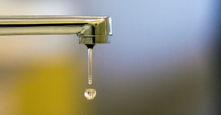 coisas que mais gastam água