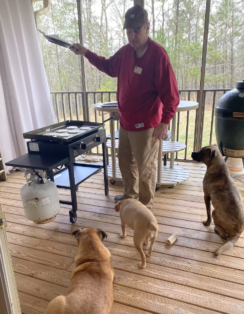 cachorros da vizinhança