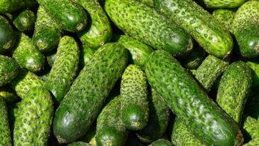 comer pepino a noite faz mal