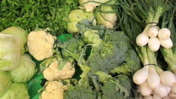 comer repolho e brócolis